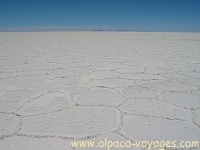 Voyages Bolivie, Salar Uyuni