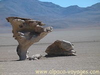 Voyages Argentine, Altiplano Puna
