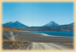 Altiplano Atacama Chile